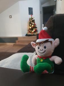 MD Apartament- Cazare la curte