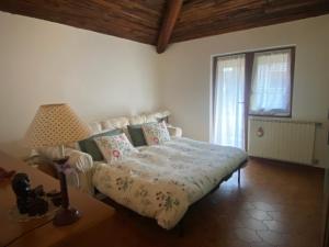 Il giardino dei pini