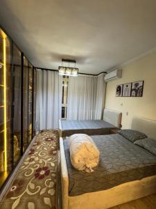 Amazing apartment for rent