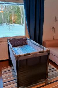 The house under Northern lights