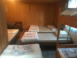 Planinski dom - Mihov dom na Vršiču