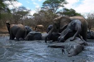 Summit Scape Adventures Safaris Limited