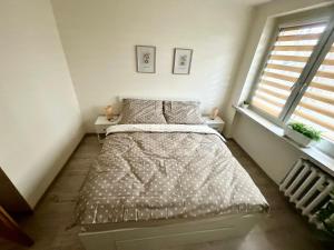 Apartament T Joanna blisko dworca