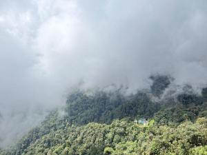 Antara Residences Genting Highlands