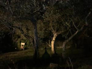 Agriturismo La Fenice