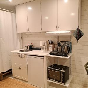 Gästhus öppen planlösning