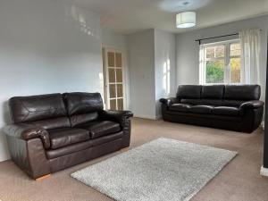 3BR House Sleeps 6 with Parking Near Ormeau Park