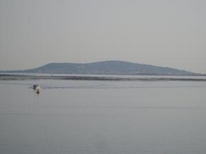 Port rive gauche Iona