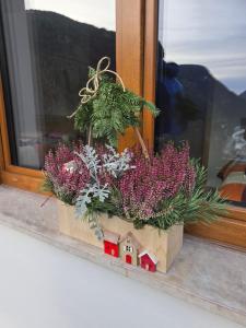 Al Belvedere sul Piave