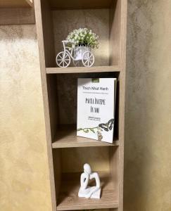 Signature Studio Arad