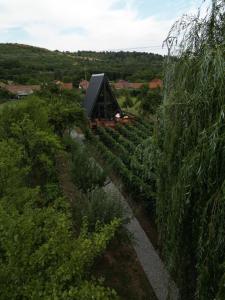 A-Wine Villas