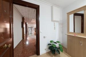 Las Setas Luxury Apartment