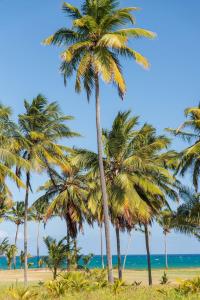 Nossa Casa | Frente Mar, 5 Suítes Exclusivas