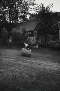 Ojcowska Stodoła - wooden cottage