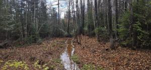 Charming Country Retreat with Scenic Views for 1 - 12 guests