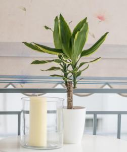 ANDIE Athens Acropolis