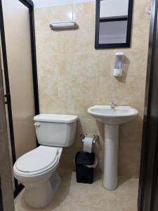 Hotel Real Alejandria