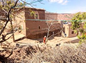 Atlas Mountains 3 Valleys Experience All-Inclusive Private Tour from Marrakesh