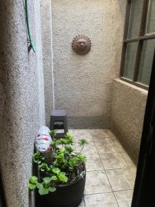 Habitación privada con todas las comodidades en excelente ubicación