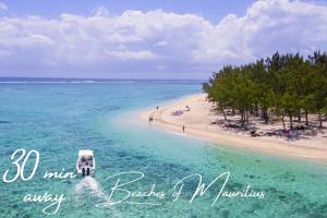 Splendid Mountains View Three Bedroom Apartment