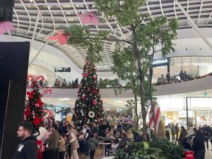 Sky and Green Luxury Apartament