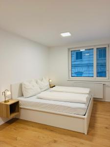 Schönbrunn Central Apartment