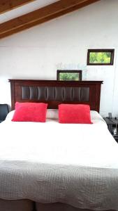 Estudio con Vista al Volcán