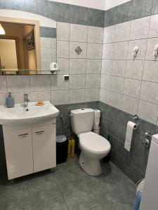 Dom Tobie bliski APARTAMENT W PARKU WARTA PRYWATNA KUCHNIA LAZIENKA PARKING