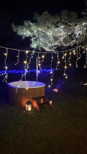 LEŚNY LUZ domek z jacuzzi w lesie nad jeziorem, duży taras, ognisko, gril, basen