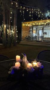 LEŚNY LUZ domek z jacuzzi w lesie nad jeziorem, duży taras, ognisko, gril, basen