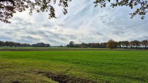 Dalerheugte Drenthe Wellness verblijf met jacuzzi, prachtig uitzicht en twee slaapkamers