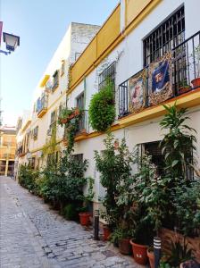 Apartamento Macarena, en el Centro de Sevilla