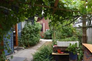 Cabañas Mister Nelson