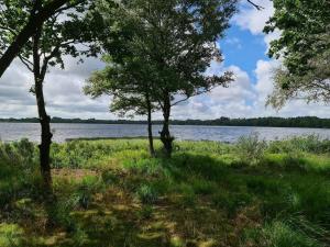 4 person holiday home in Ansager