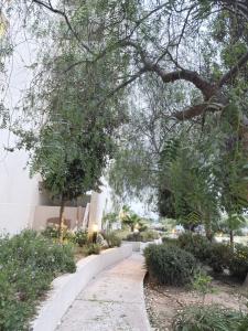 Departamento laguna del Mar