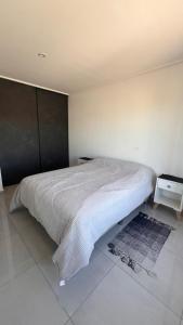 Departamento céntrico