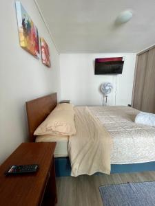 Acogedor departamento centro de Santiago