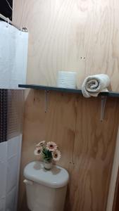 Departamento Mono Ambiente Pucon