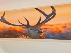 Comfortable Fenced Chalet in Durbuy