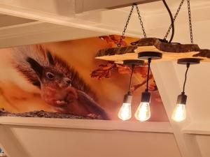 Cozy Ardennes Chalet near Durbuy