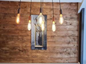 Cozy Woodland Chalet near Durbuy