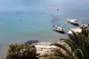 Apartment Saplunara 4923b