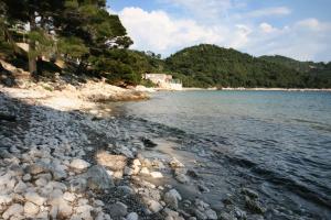 Apartment Saplunara 4923b