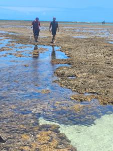 Triplex Magia - praia de Maracaípe-Porto de Galinhas