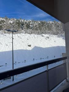 Charmant studio au pieds des remontées mécaniques.