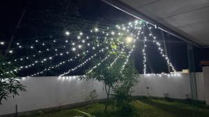 The Grace Cottage - Negombo