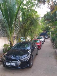 Boss cà phê & homestay