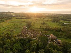 Equipoise Resort & Spa Ubud Managed by Ini Vie Hospitality - Newly Open