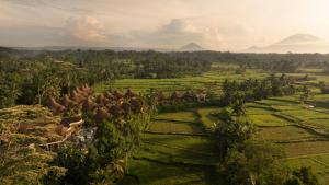 Equipoise Resort & Spa Ubud Managed by Ini Vie Hospitality - Newly Open