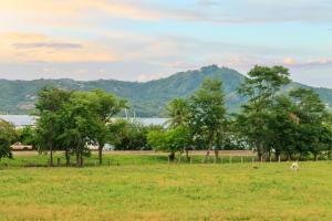 Nelblu Flamingo Suites